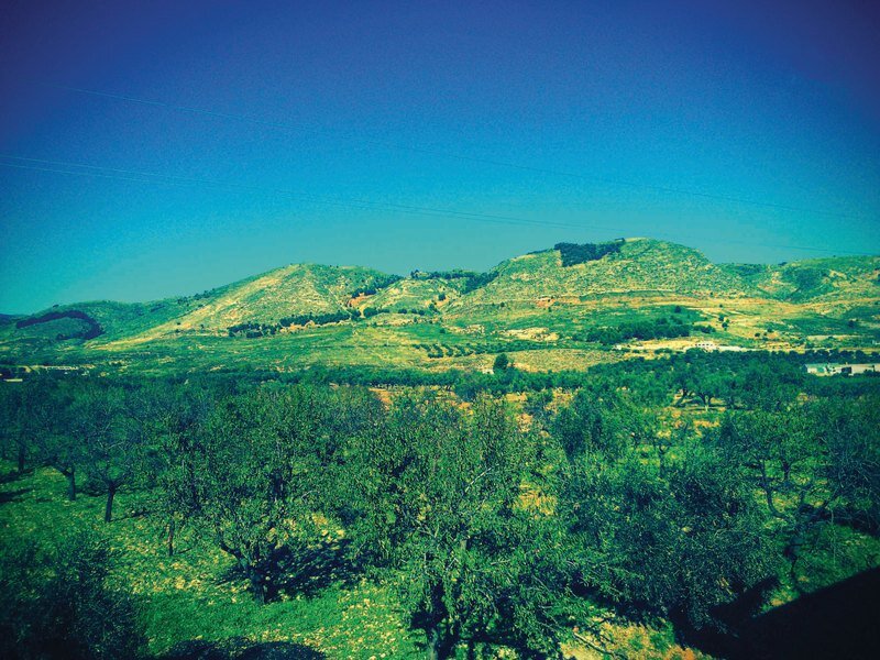 Hotel Rural Almirez-Alpujarra 4