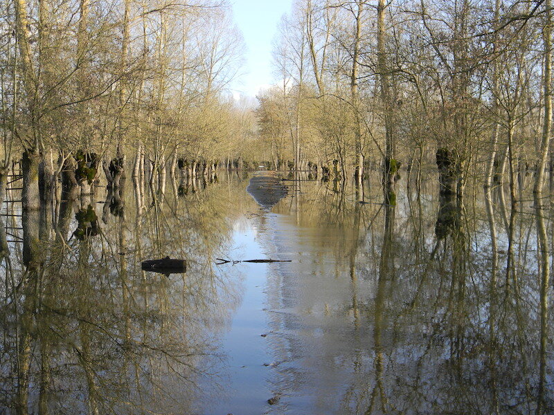 Le Logis d'Antigny 5