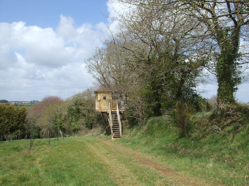 La Cabane de Thom 3