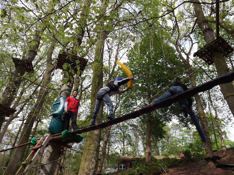 Woody Park 3