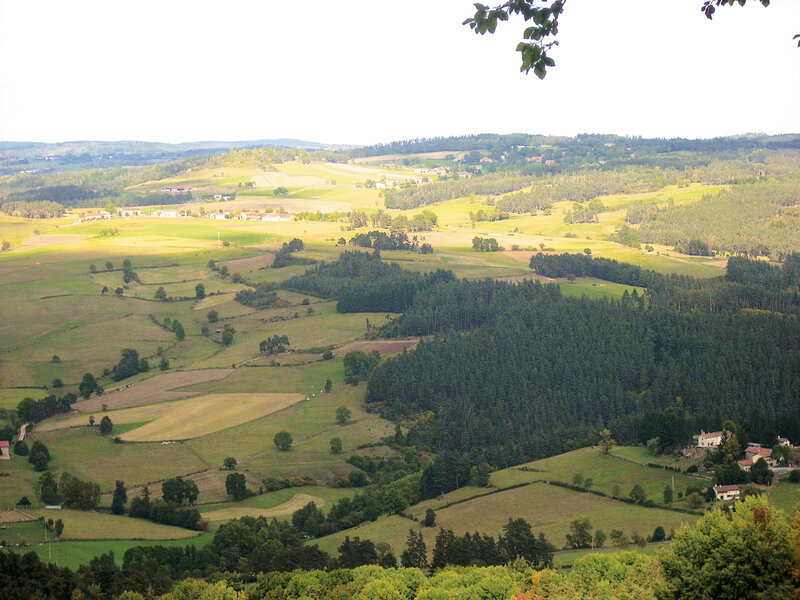La Ferme des Chanaux 4