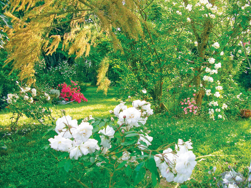 Au Jardin de Montfleuri 3