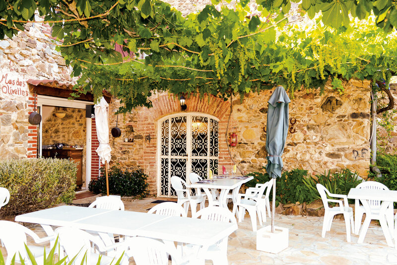 Mas des Olivettes 5