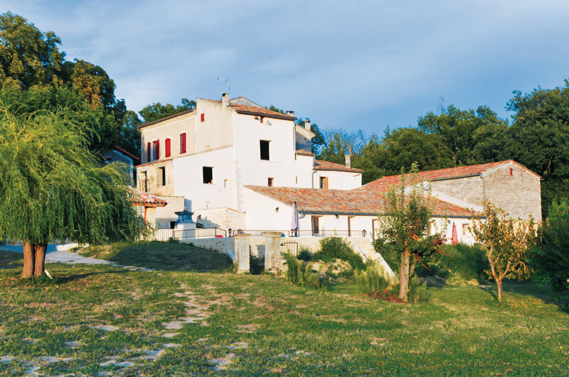 Les Ânes de Forcalquier 3