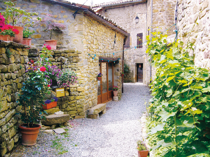 Les Roses Trémières
