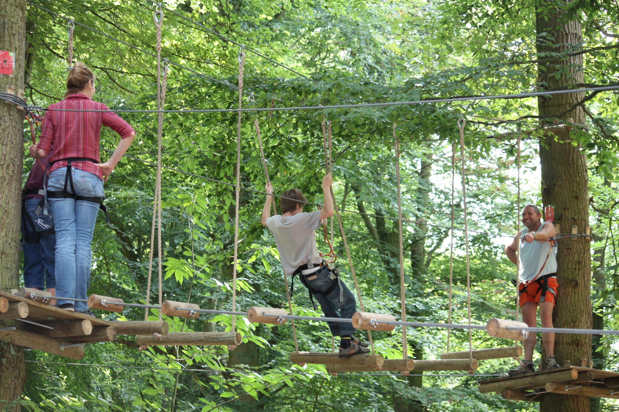 Woody Park 2