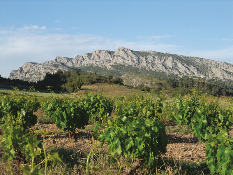 Domaine Vents du Sud 3