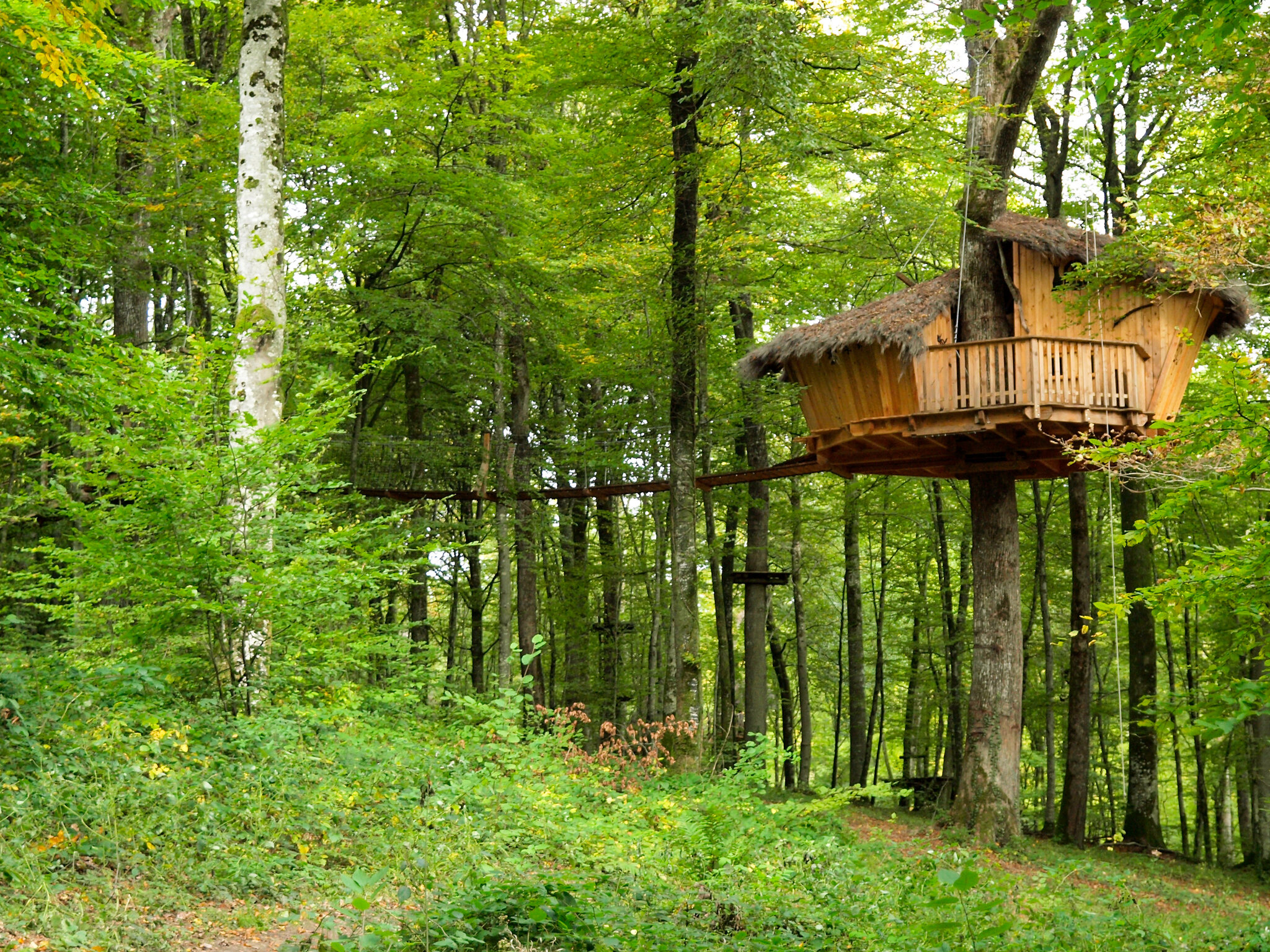 L'Arbre à Cabane 3