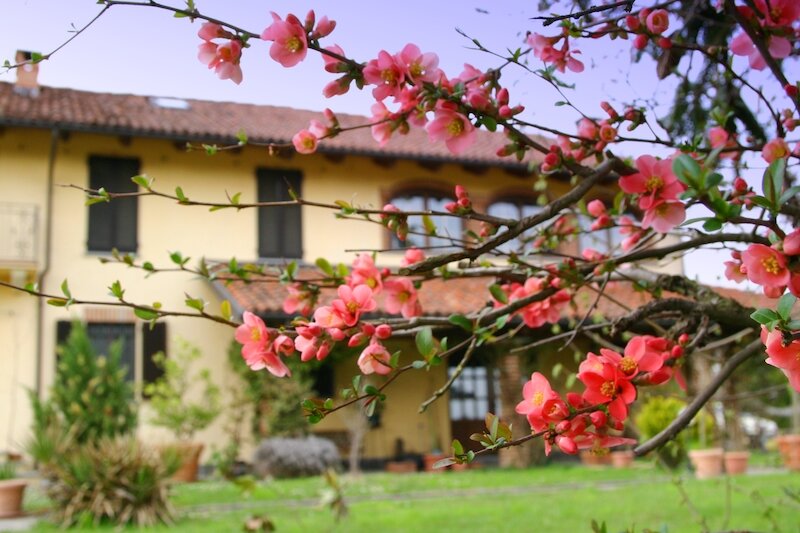 Agriturismo Cascina Vignole 3