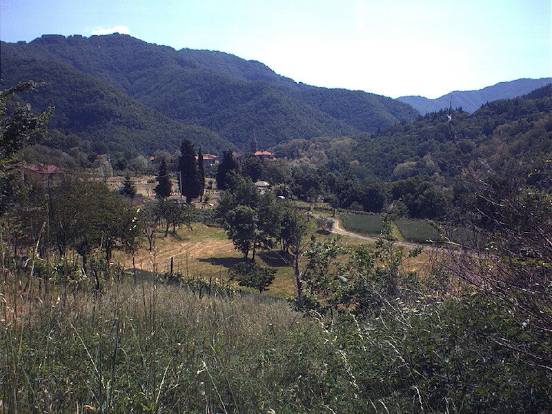B&B Poggio delle Rondini 3