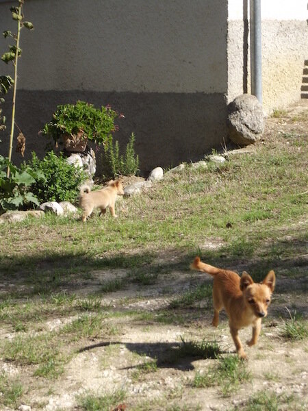 Masseria Testa Ciruglio 3