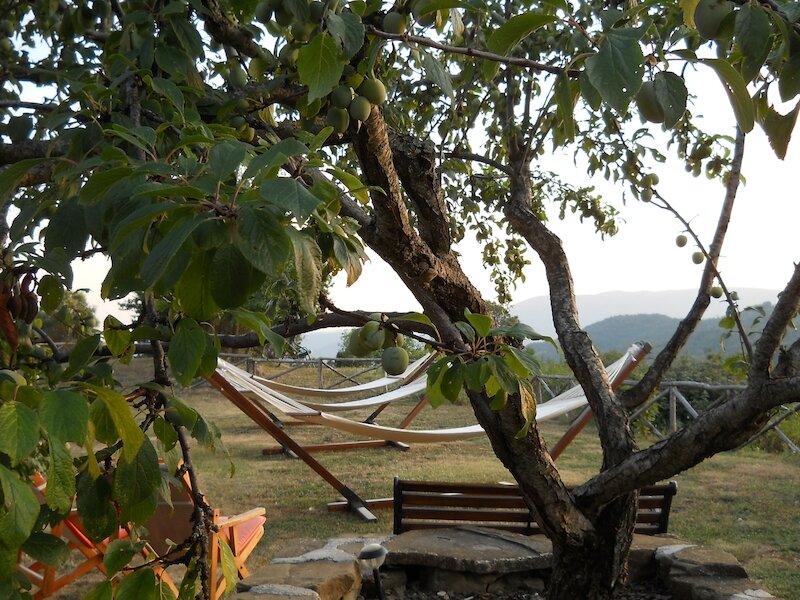Agriturismo Guinzano 4