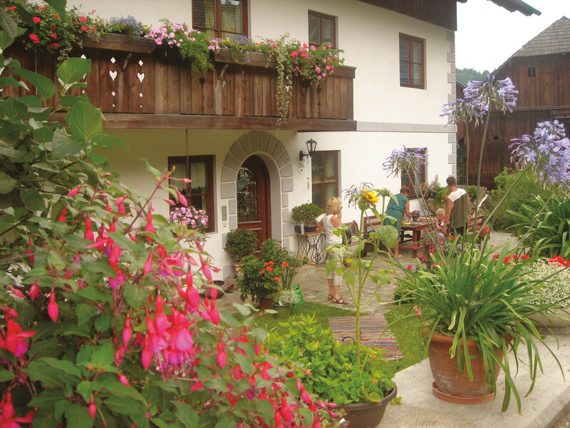 Blumenhof Elfi 2