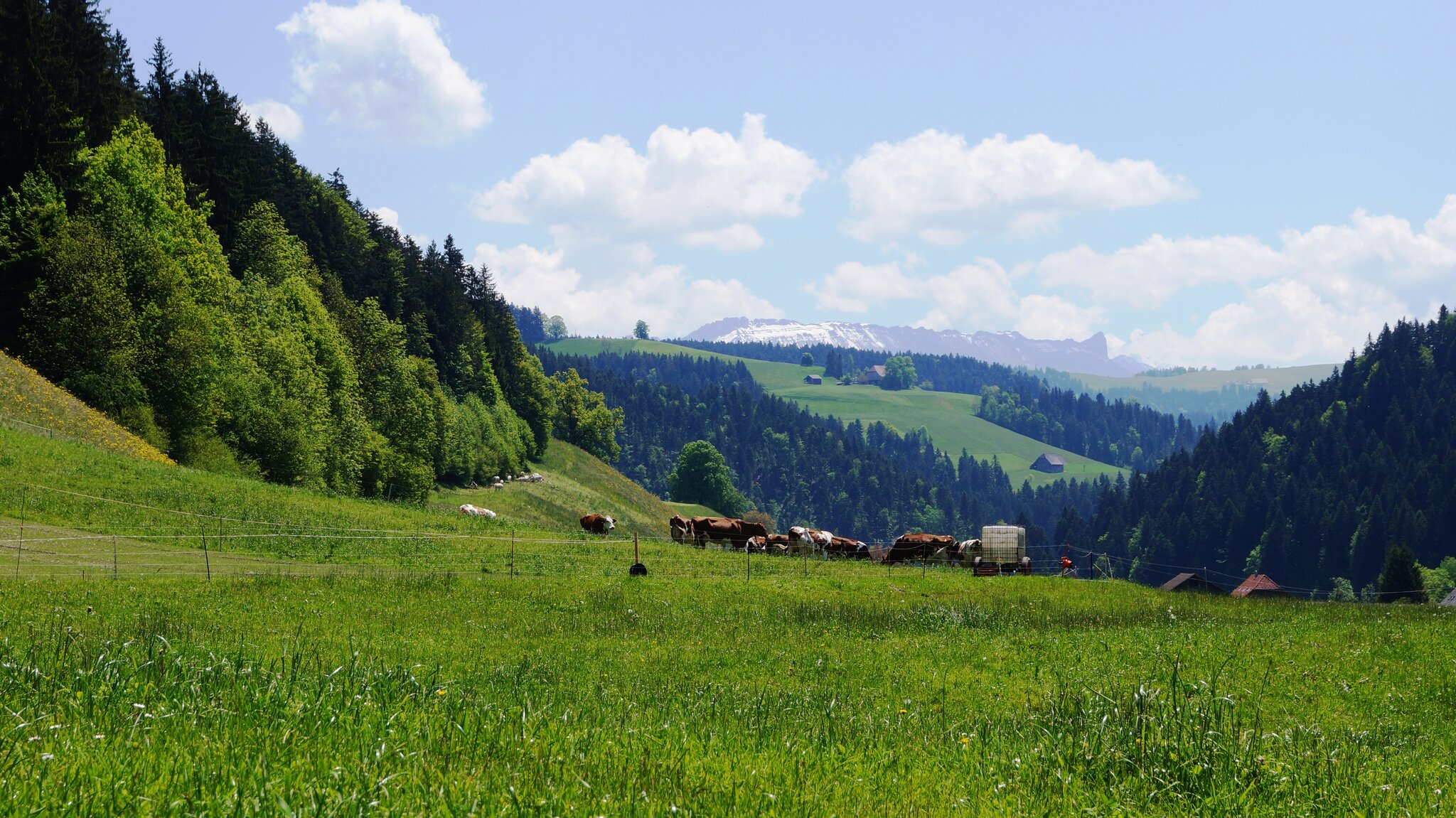 Bauernhof Urstalden 2