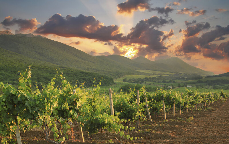 Agriturismo I Giardini di Eidos 2