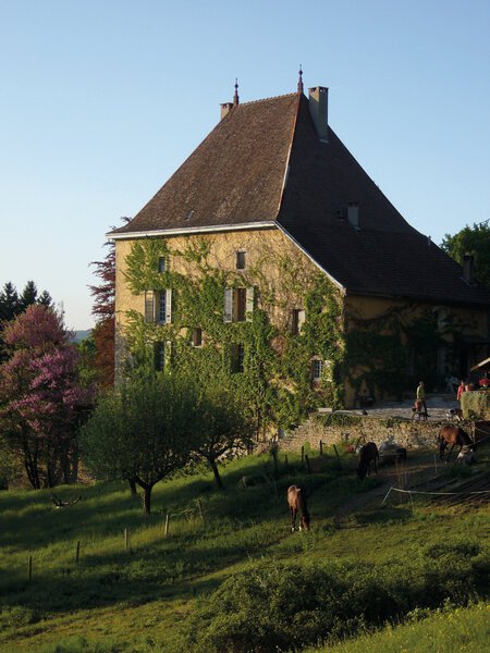 Le Clos Dauphin 3