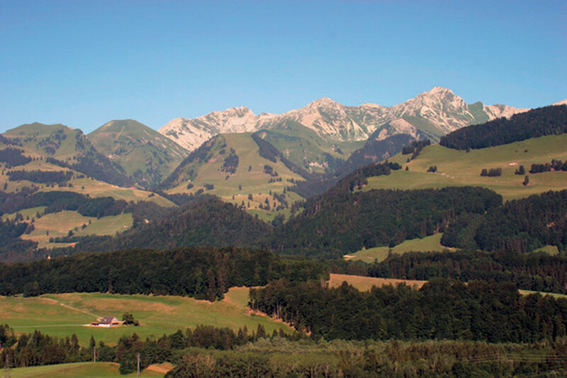 B&B La Pinte de Lys 3