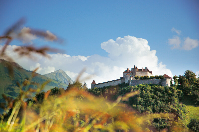 Hôtel de Gruyères 3