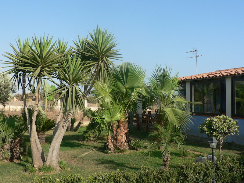 B&B Villa Francesco 5