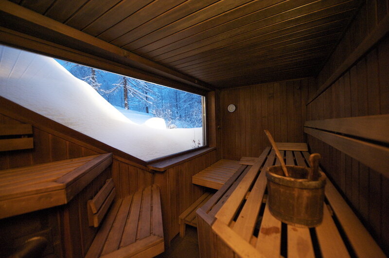 Les Neiges d'Antan 2