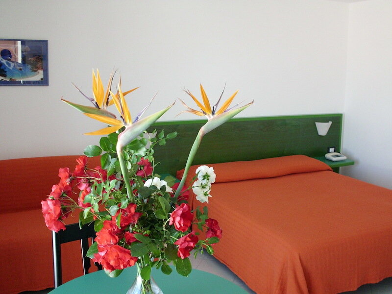 Hotel Piccada 4