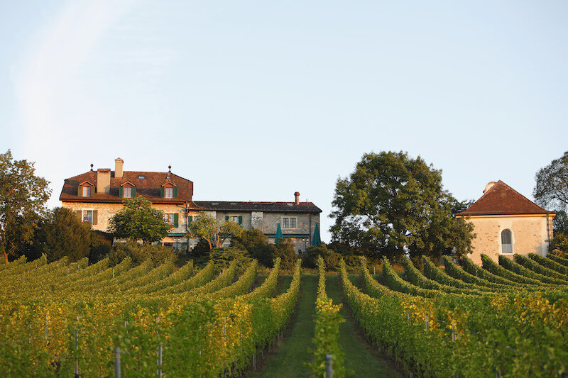 Domaine de Châteauvieux 4