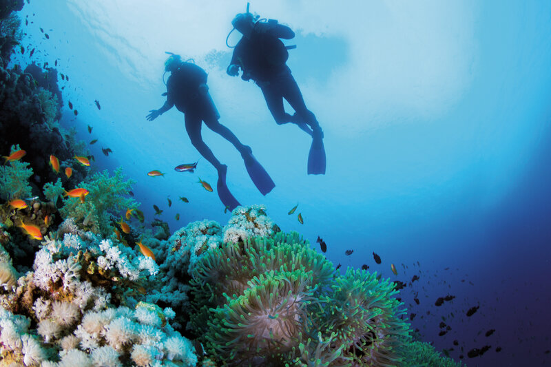 Deep Diving Academy 2