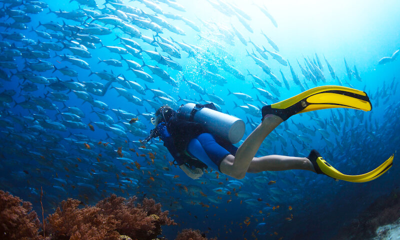 Scuba & Sail Adventures 2