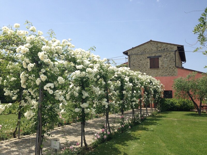 Agriturismo Casale le Selvette 2
