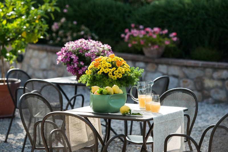 Agriturismo il Melograno del Colle di Sotto 3