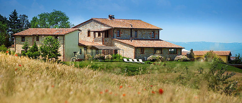 Agriturismo Gattogiallo 4