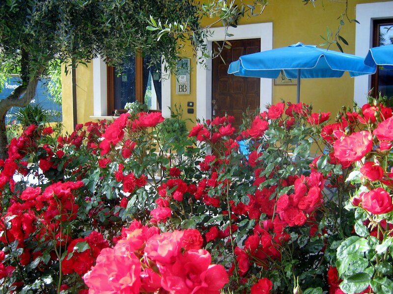 B&B Mariposa 3