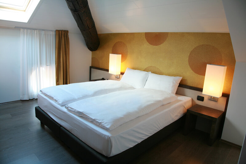 Hotel & SPA Internazionale Bellinzona 2