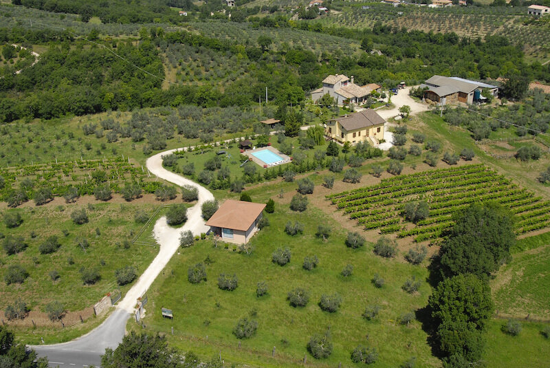 Fattoria del Quondam 3