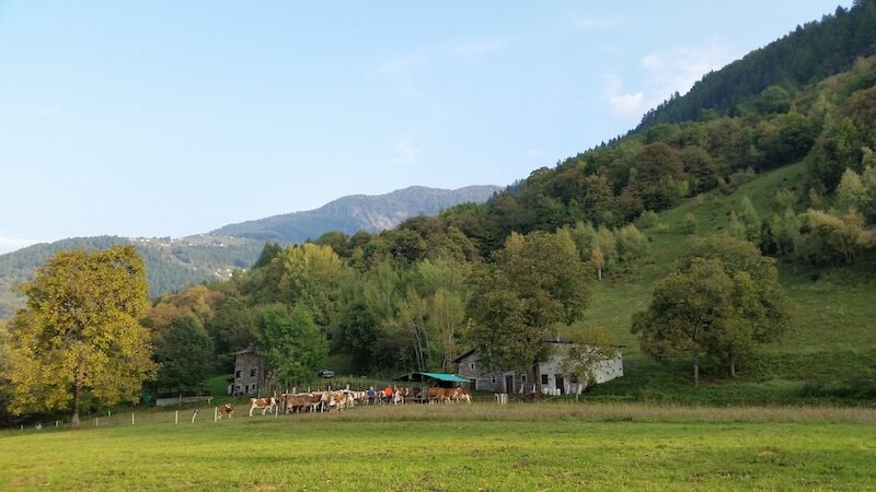 Agriturismo Stella Orobica 2