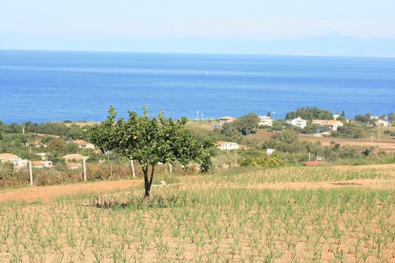 Agriturismo Ruralia 3