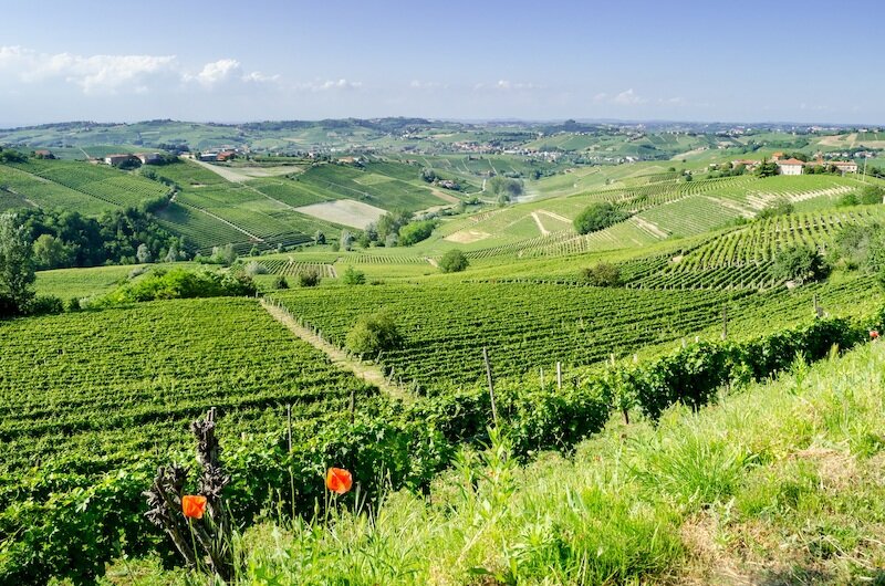 Agriturismo Abbadia Borgo del Sole 4