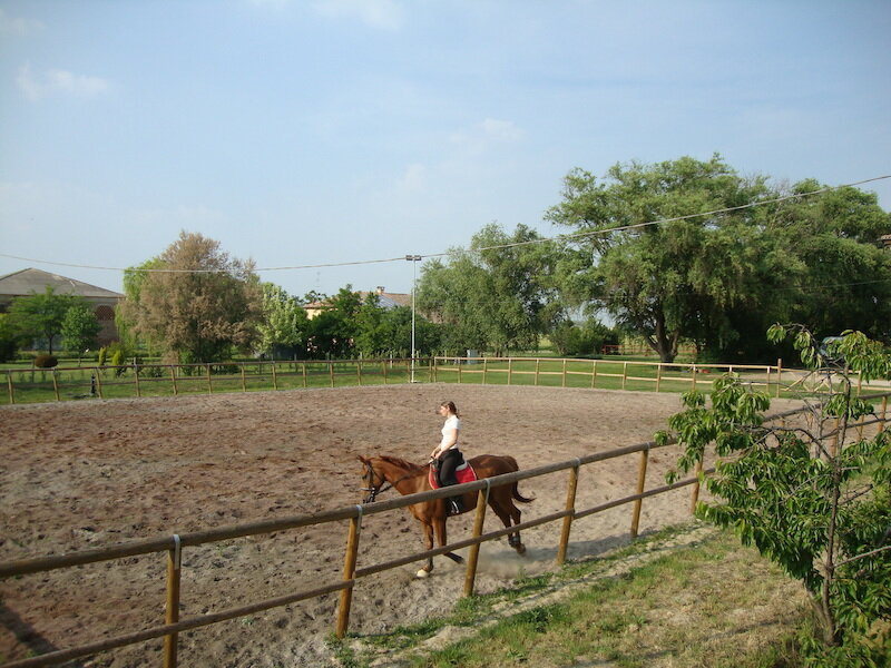 Agriturismo l'Unicorno 3